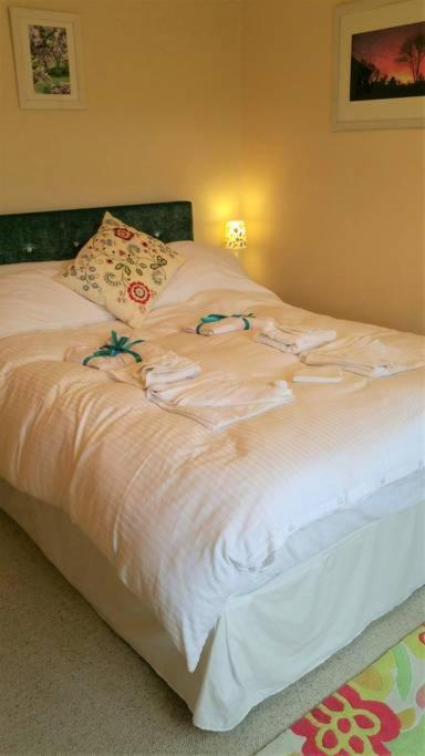 Bed and Breakfast Horsna Parc Retreat à Saint Tudy Extérieur photo